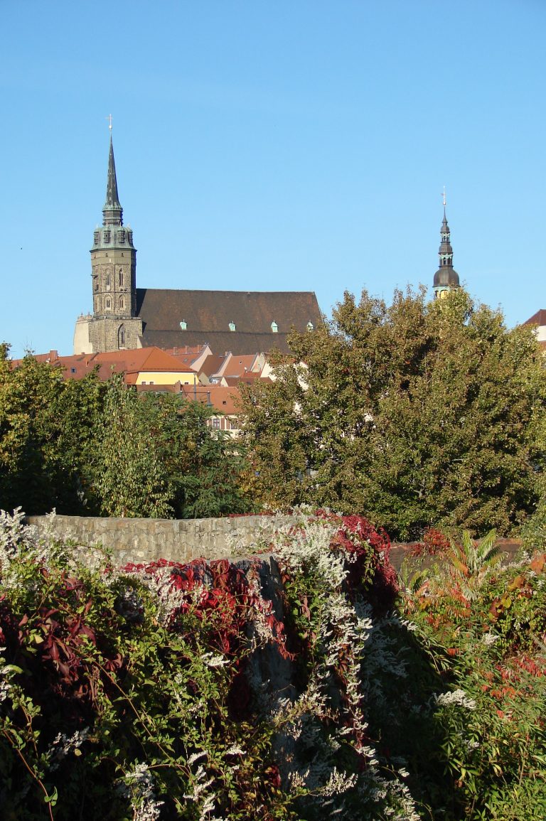 Dom St. Petri